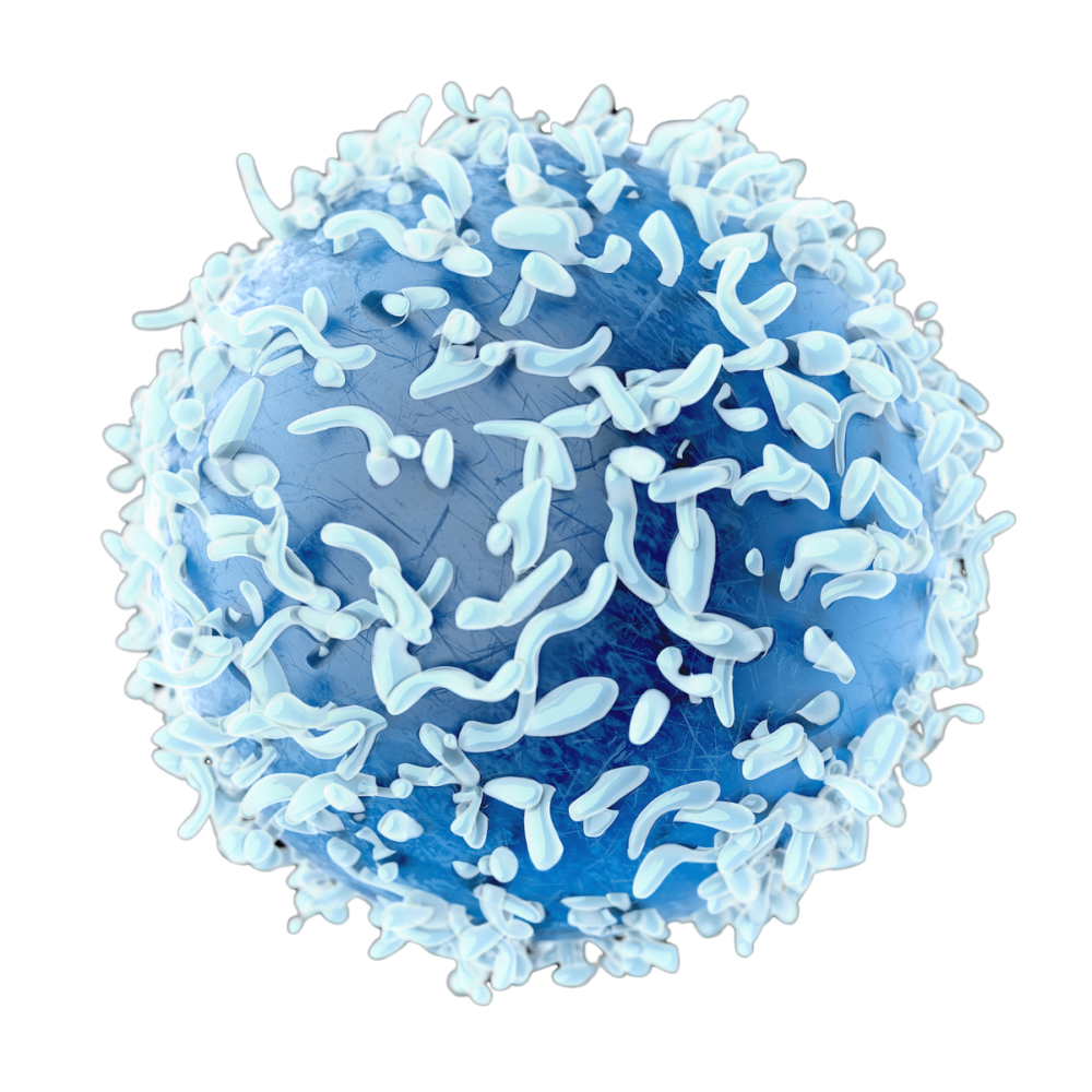 3D-illustration af antigen-specifik T-celle og dextramer-struktur hos bioteknologivirksomheden Immudex.
